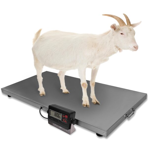 Veterinary Scale, 700x0.2lb Animal Scale with Stainless Steel Platform 44 x 22 in