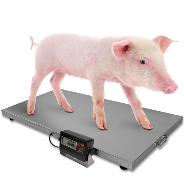 Livestock Scale, 700x0.2lb Animal Scale with Stainless Steel Platform 38 x 20 in