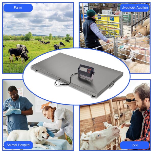 Livestock Scale, 700x0.2lb Animal Scale with Stainless Steel Platform 38 x 20 in - Image 6